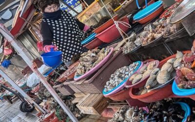 Sabores de Busan: una ruta gastronómica por la ciudad portuaria