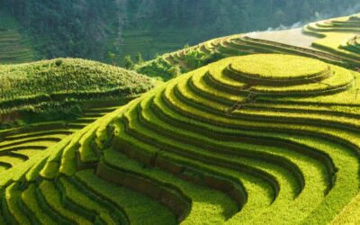 Guía para explorar Sapa y sus aldeas: cultura Hmong y naturaleza virgen
