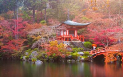 Japón en otoño profundo: ciudades, templos y festivales imperdibles