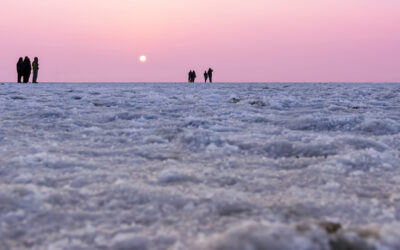 Estado de Gujarat (Parte IV) – Rann de Kutch, desierto blanco y cultura viva