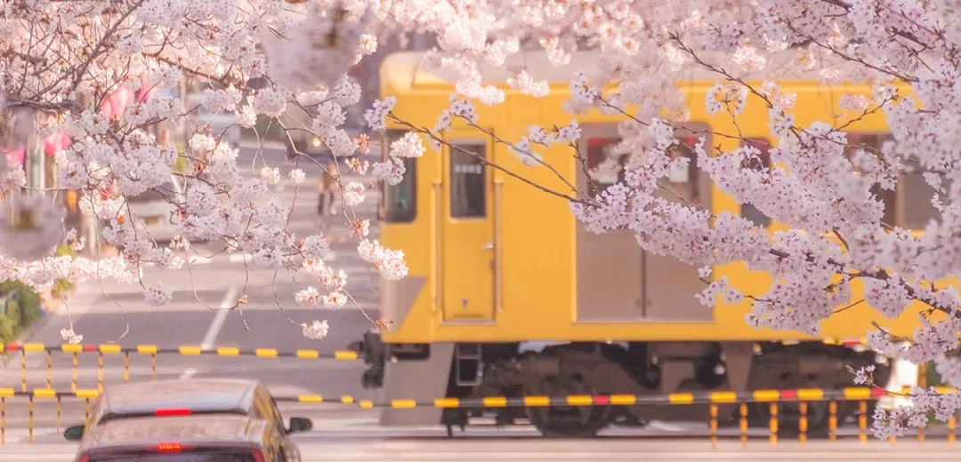 Un viaje nostálgico por Tokio: recorriendo sus barrios en tranvía