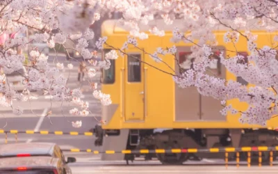 Un viaje nostálgico por Tokio: recorriendo sus barrios en tranvía
