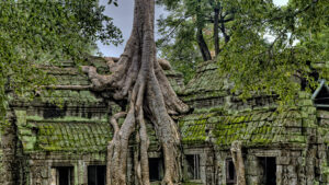 Cambodia