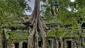 Cambodia
