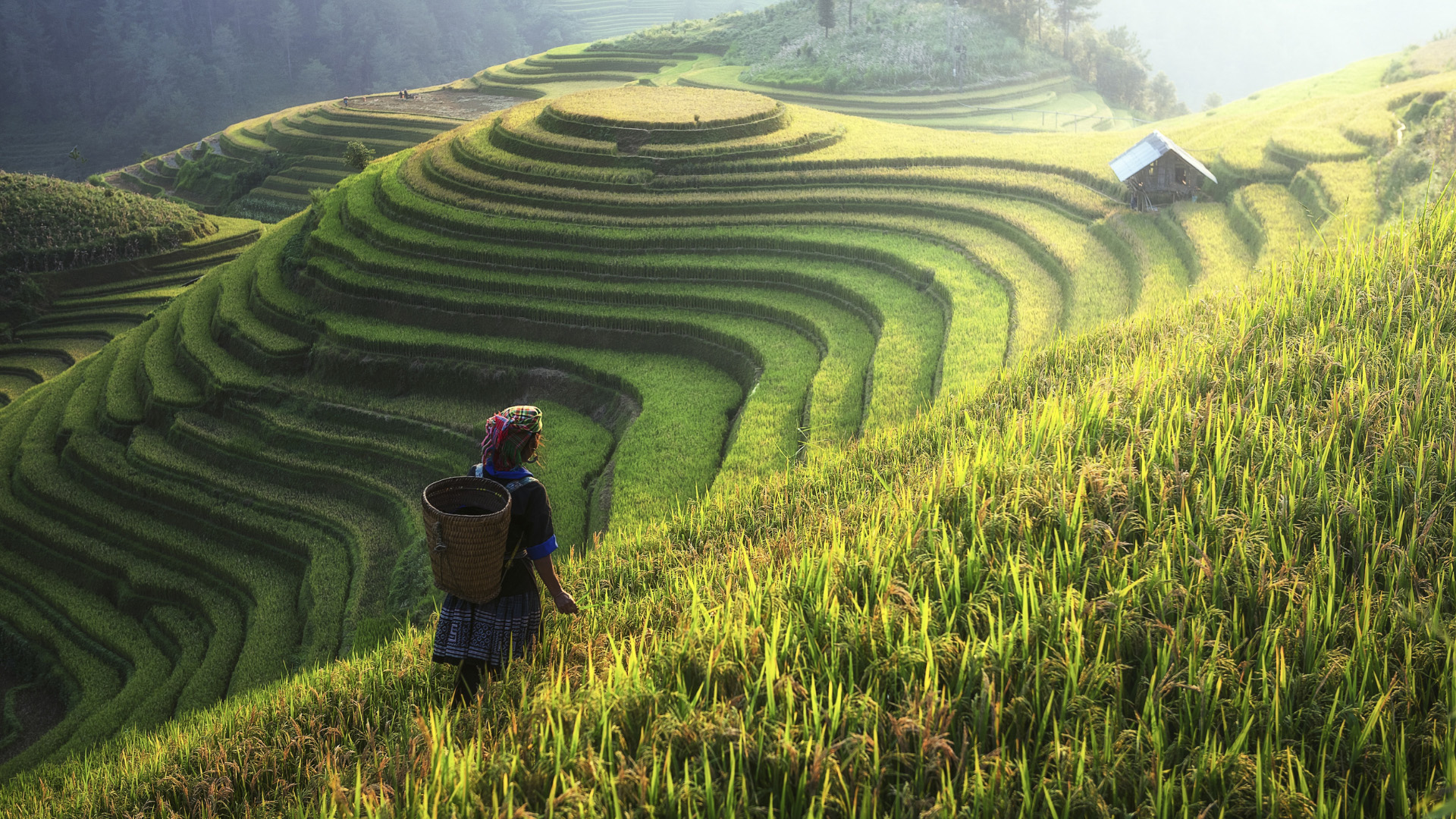 Vietnam