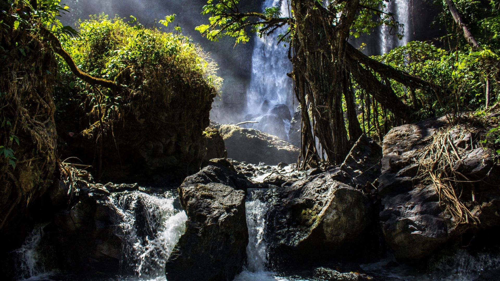 Bolaven Plateau