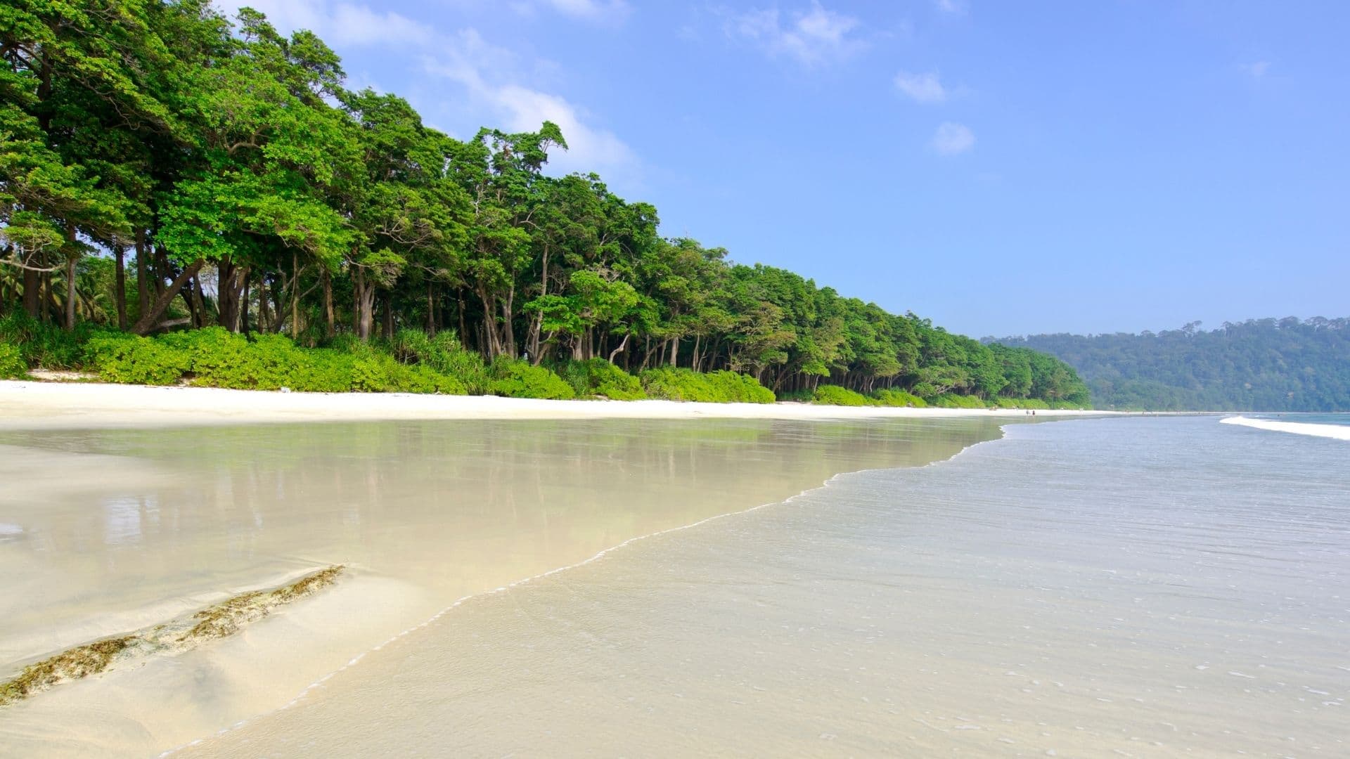 Playa paradisiaca de Asia en Isla Andamán: Havelock