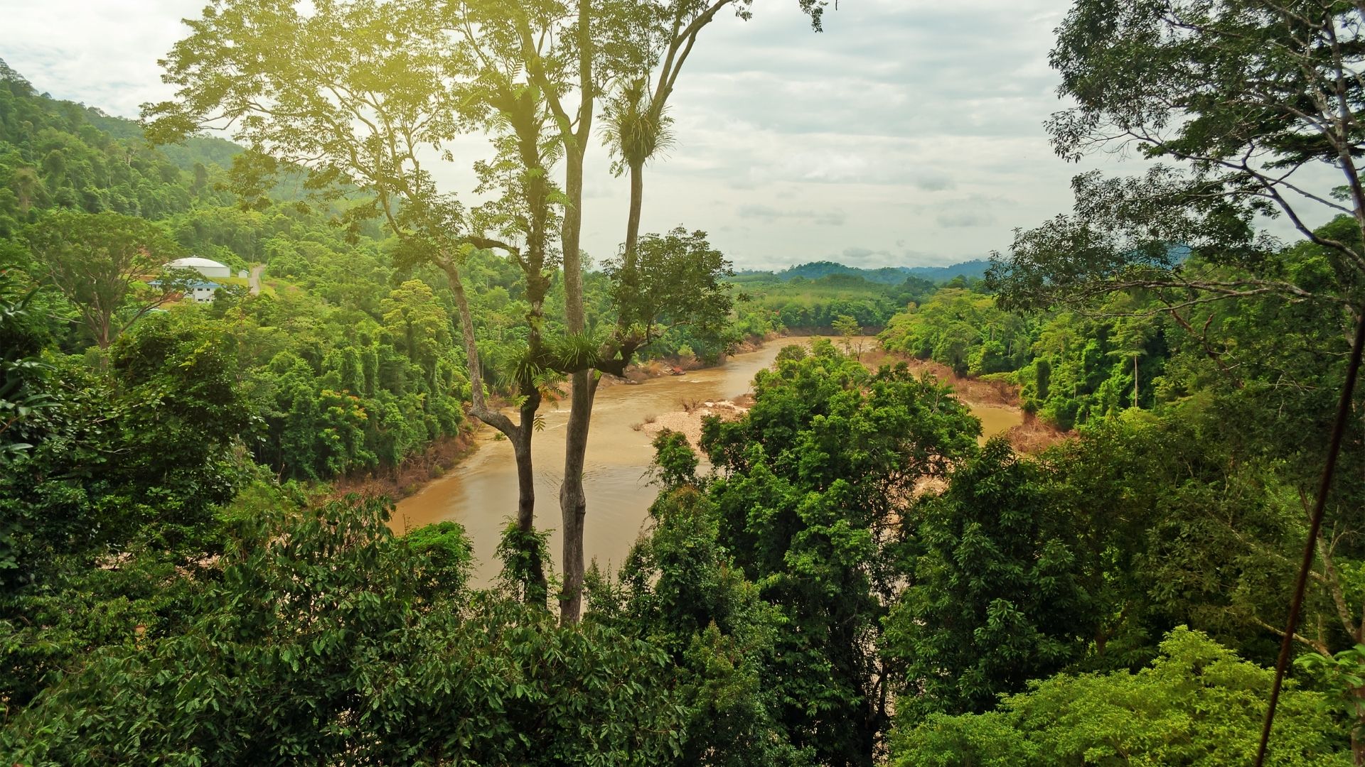 Parque nacional Taman Negara