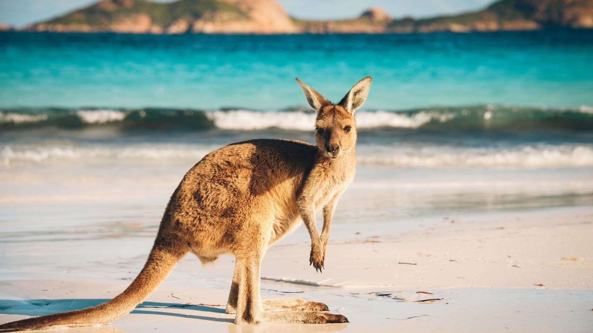 Entre las mejores playas de Asia no podemos olvidar las paradisiacas playas de Australia