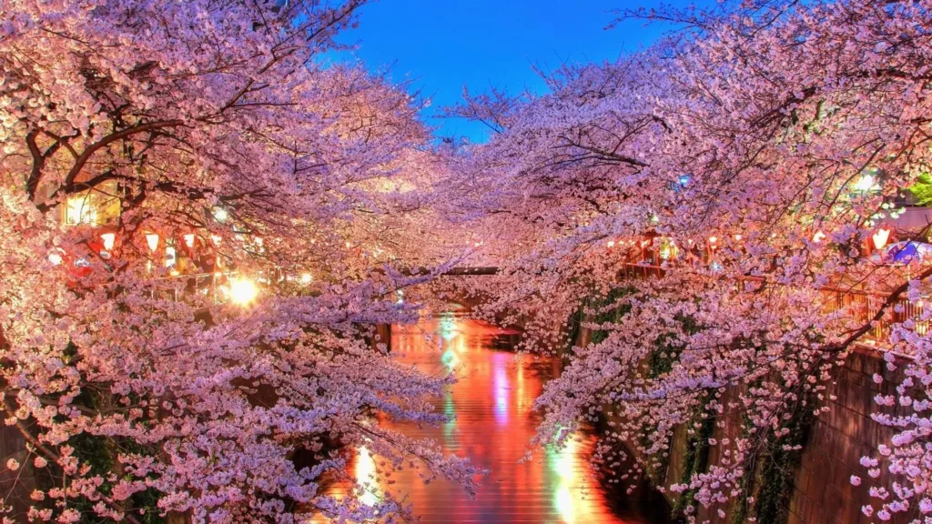 08 abr. Rio Meguro, Tokyo — Japón Salida Exclusiva Cerezos 28 Marzo 2027