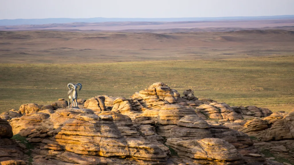 20 jul. Baga Gazriin Chuluu — Mongolia con Festival Naadam