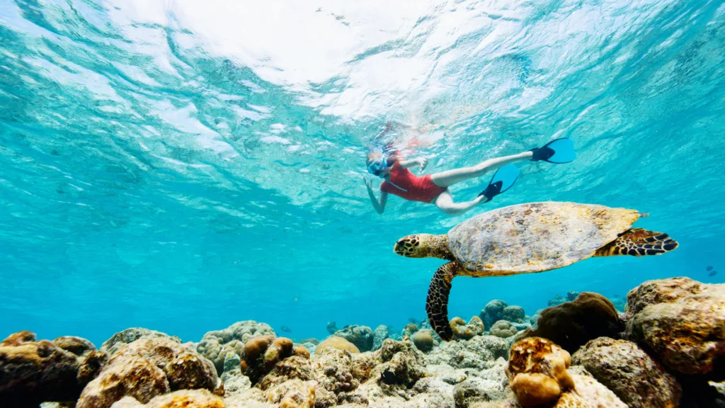 Japón y Maldivas · Maldivas: playas, lagunas y descanso en el océano Índico