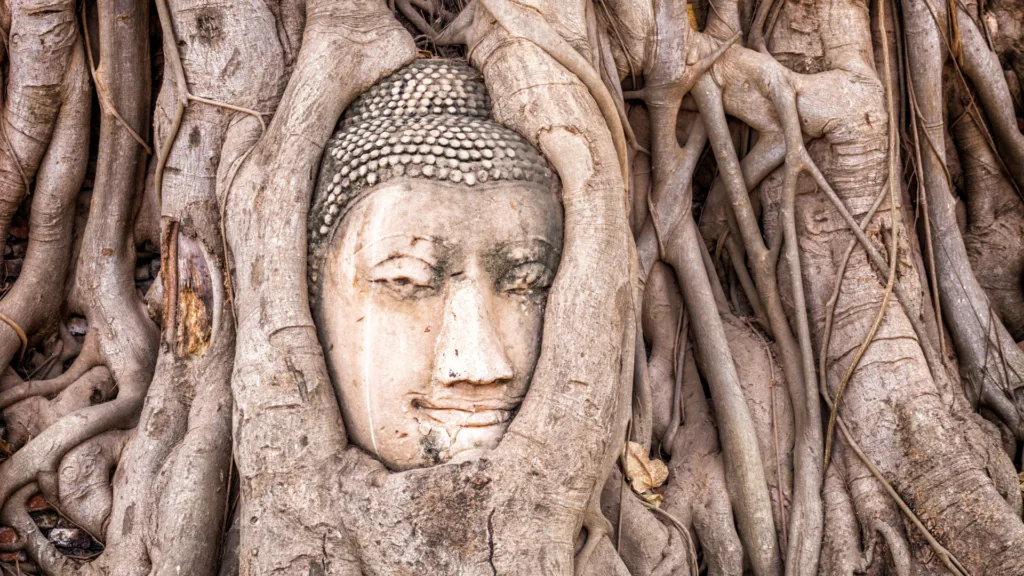 Camboya y Tailandia · Tailandia, historia y naturaleza