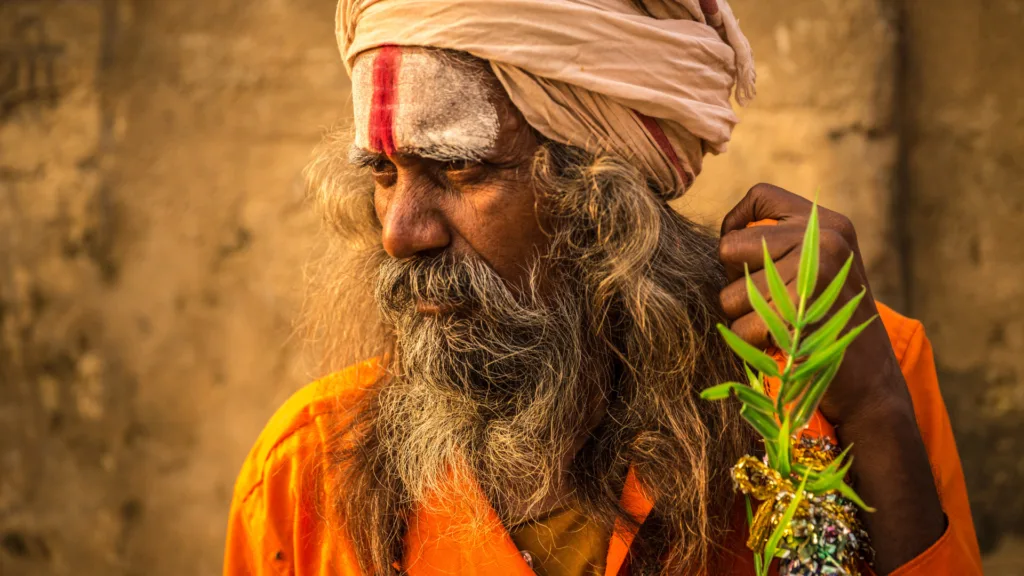 India y Bután · India, entre plantaciones de té, monasterios y paisajes del Himalaya oriental