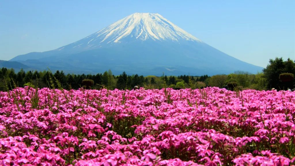 Japón y China · Japón, tradición, templos y paisajes