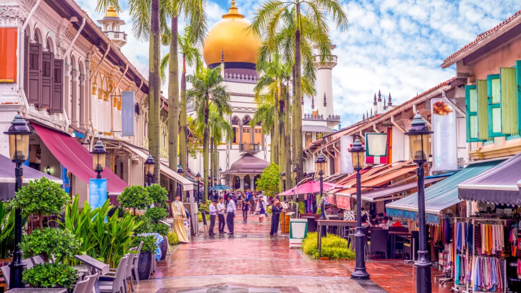 Malasia, Indonesia y Singapur · Singapur: arquitectura, barrios y diversidad cultural