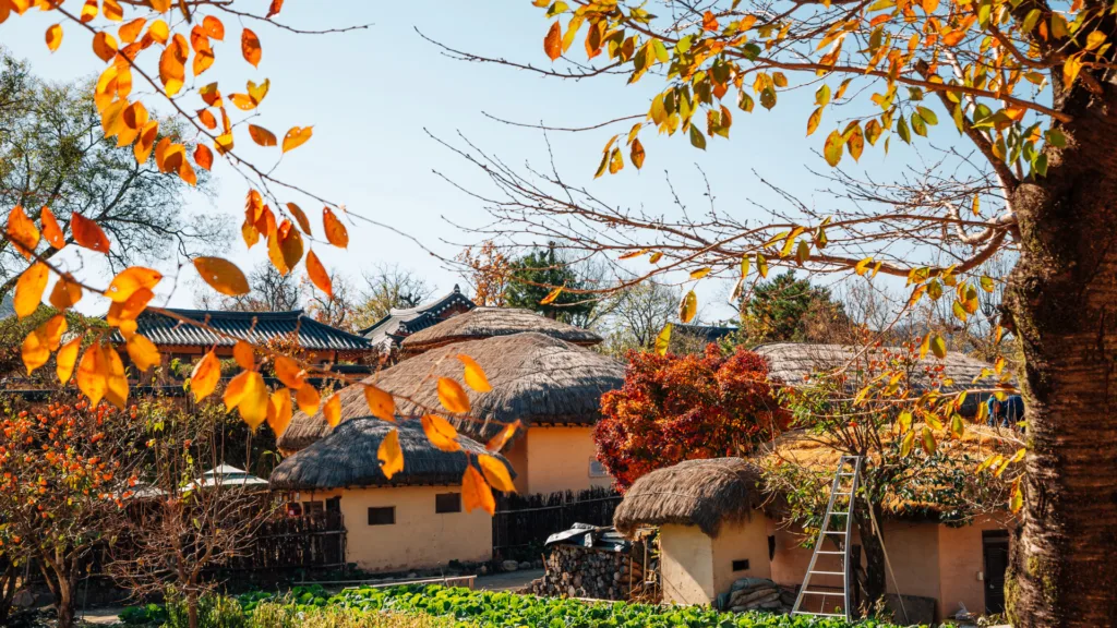 Japón y Corea del Sur · Corea del Sur, tradición milenaria y modernidad asiática