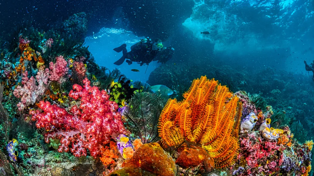 Japón y Maldivas · Maldivas: playas, lagunas y descanso en el océano Índico