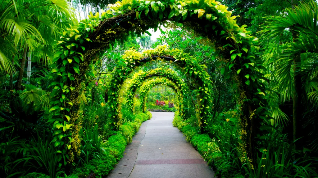 Sendero bajo arcos de vegetación en el Jardín Botánico de Singapur