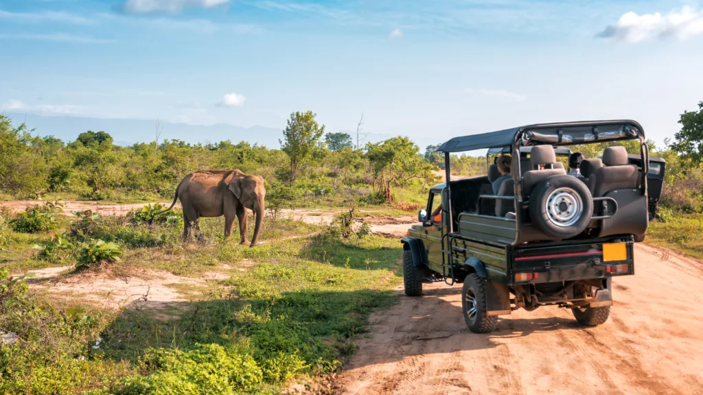 Vehículo de safari observando un elefante en el parque nacional de Yala, Sri Lanka
