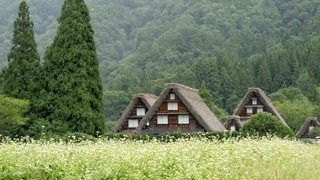 KANAZAWA – SHIRAKAWAGO – TAKAYAMA GERO — Gran Tour de Japón
