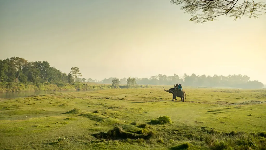 P.N. Chitwan — India Fascinante y Nepal