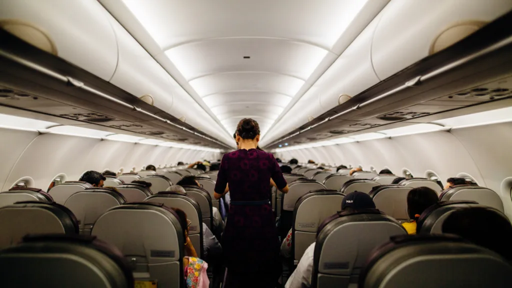 Abordo del vuelo — Nueva Zelanda Esencial
