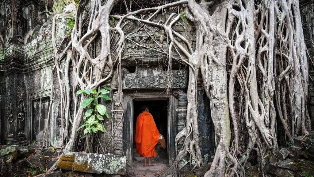 Ta Prohm, Siem Reap — Camboya en grupo con Koh Rong