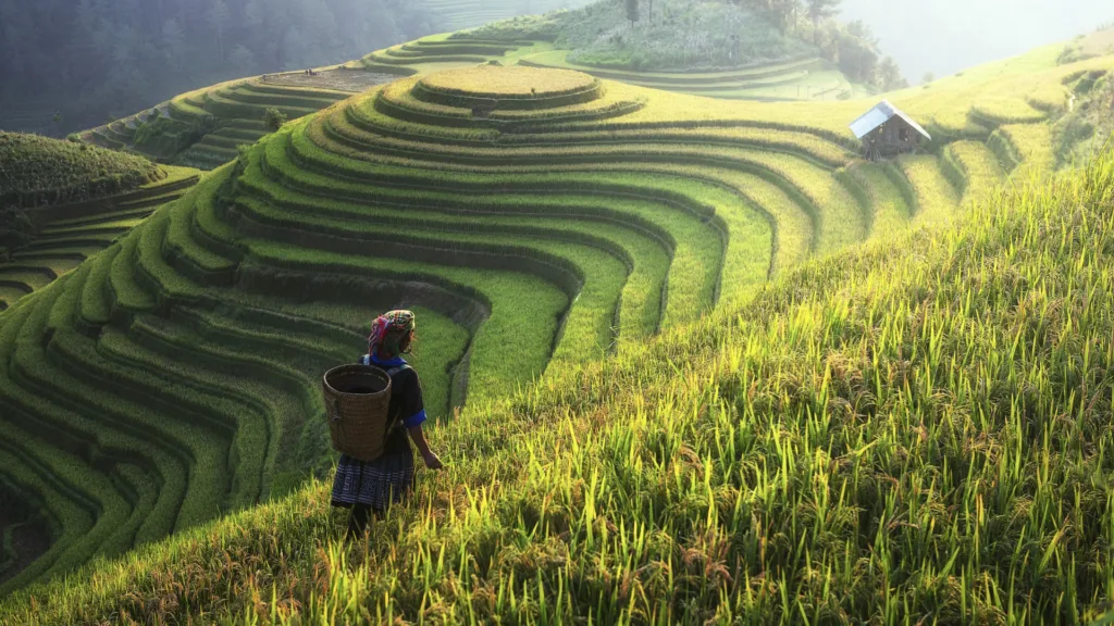 LAO CAI – SAPA — Norte de Vietnam al Completo