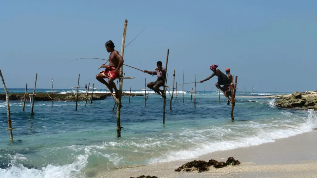 pescadores zancudos, Welligama — Luna de Miel en Sri Lanka y Maldivas