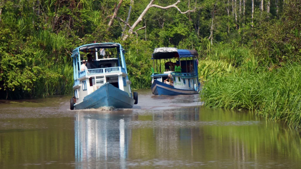 YAKARTA – PANGKALAN BUN – TANJUNG PUTTING — Indonesia Salvaje