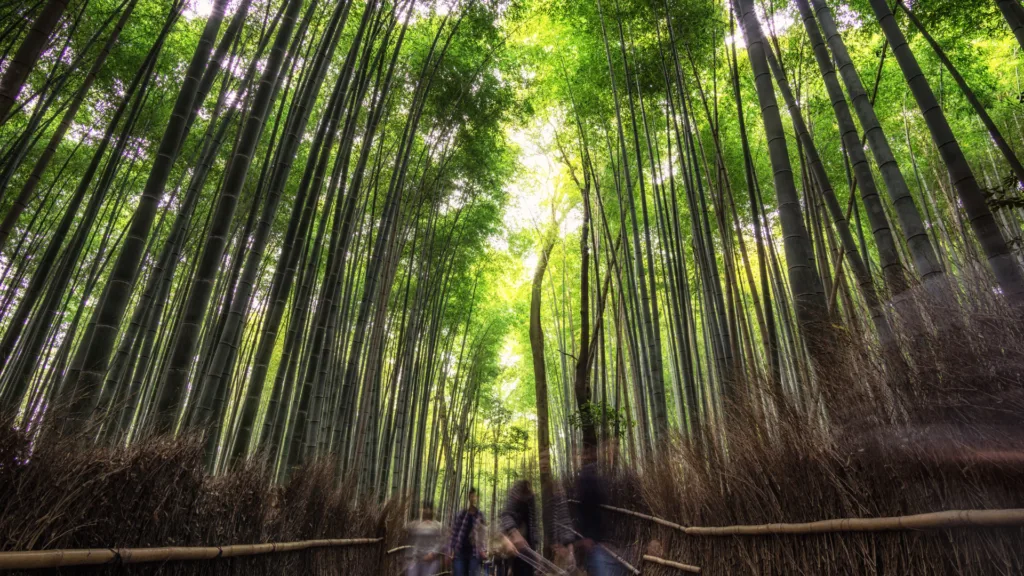 KYOTO — Japón por Libre 15 días