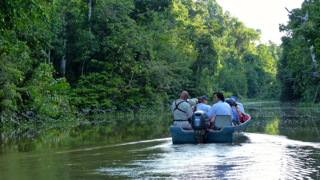 paseo en barca por el río Kinabatangan — Kuala Lumpur, Borneo e Islas Perhentian