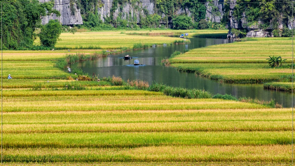 BAHÍA DE HALONG – NINH BINH — Norte de Vietnam al Completo
