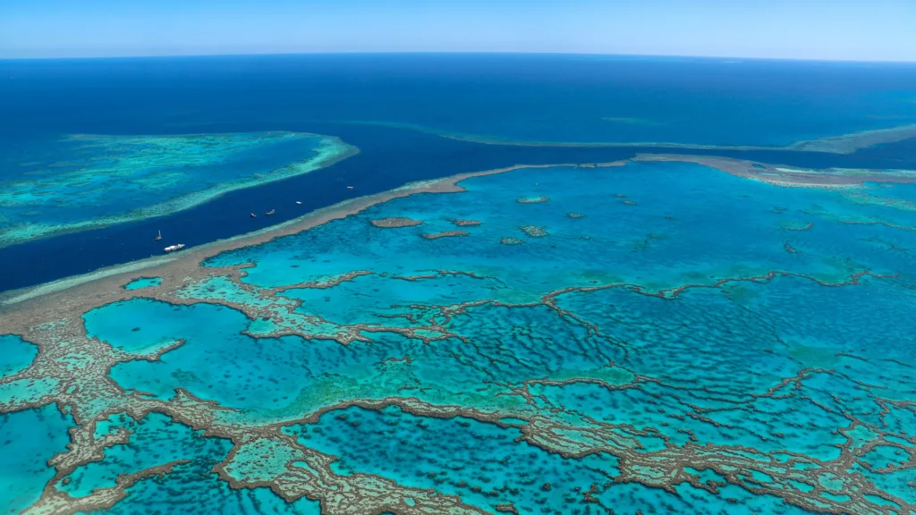 Gran Barrera de Coral, Cairns — Descubriendo Australia