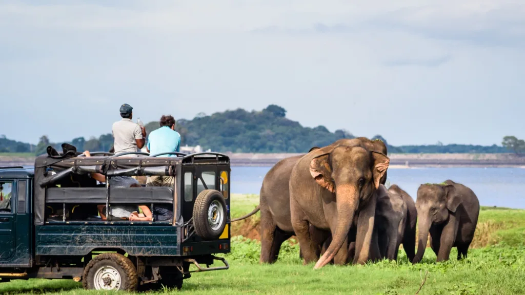 Parque Nacional de Yala — Explore Sri Lanka