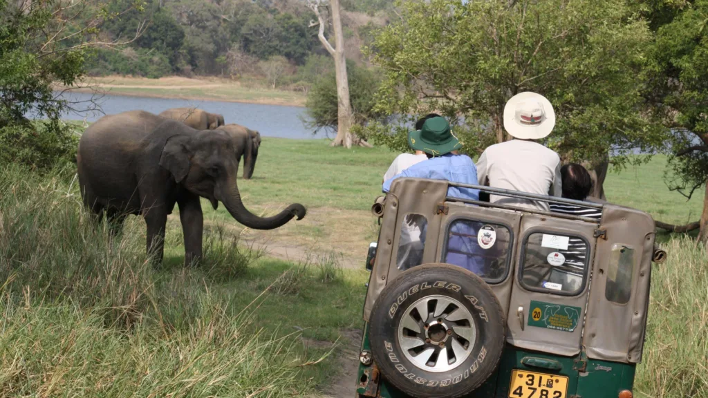 Safari en Yala — Sri Lanka en Familia