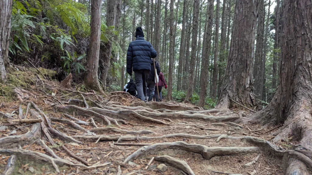 KOYASAN – KUMANO KODO – KAWAYU ONSEN — Gran Tour de Japón