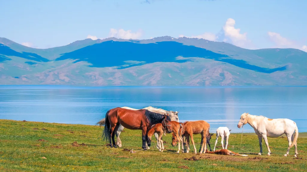 Lago Son-Kul, Kirguistán — Expedición por Kirguistán