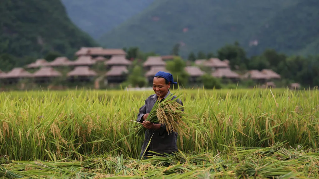 NINH BINH – MAI CHAU — Norte de Vietnam al Completo