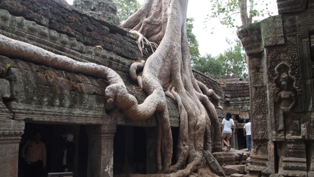 Ta Prohm, Siem Reap — Camboya al Completo