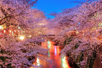 08 abr. Rio Meguro, Tokyo — Japón Salida Exclusiva Cerezos 28 Marzo 2027