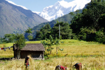 Trek Dhampus — Nepal Cultural y Trekking