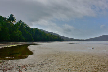 Daintree y Cape Tribulation — Gran Tour de Australia
