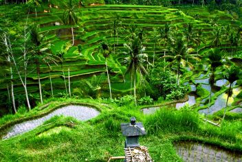 DENPASAR (BALI ) — Bali Esencial
