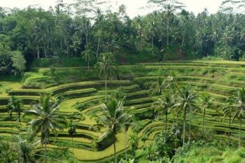 DENPASAR – UBUD — Salidas En Grupo – Bali Circuito Interior con Gili