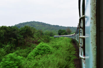 Tren, Madhya Pradesh — India Parques Naturales