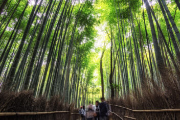 TAKARAZUKA – KYOTO — Okini Japón