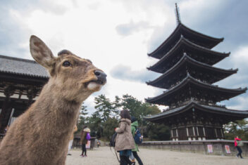 TOKYO – KYOTO – NARA – KYOTO — Japón Eterno y Maldivas