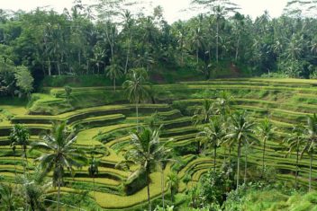 CANDIDASA – TIRTA GANGGA – SUR DE BALI — Bali Circuito Interior y Gili